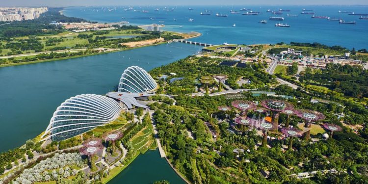 The Ultimate Guide to Singapore Longevity Cakes A Time Honoured Tradition That is More Than Just Dessert